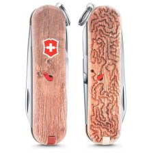 Нож Victorinox Classic LE Woodworm (0.6223.L1706) фото 2