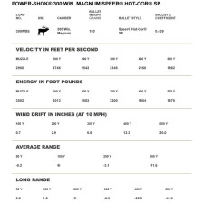 Патрон Federal Power-Shok кал. 300 Win Mag куля Hot-Cor SP, маса 11.66 гр/180 гран фото 2