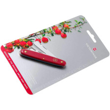 Ніж Victorinox Budding Knife Combi садовий (3.9020) фото 8