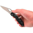 Ніж Spyderco Byrd Meadowlark 2 (BY04GP2) фото 9