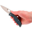 Ніж Spyderco Polestar (C220GPGY) фото 8