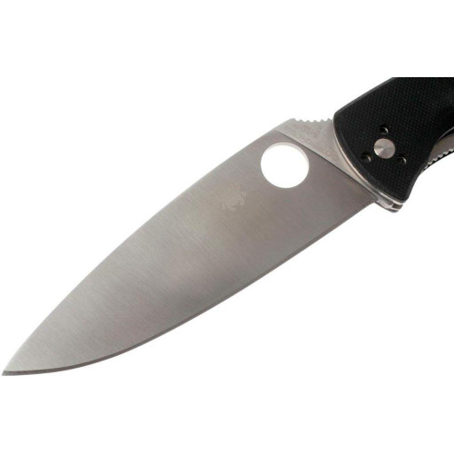 Ніж Spyderco Resilience (C142GP) фото 3
