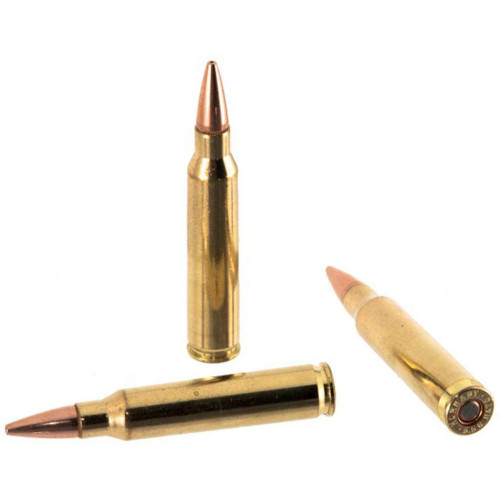Патрон Hornady Training TAP SBR кал. 5,56/45 (.223 Rem) пуля BTHP, масса 4.86 гр/75 гран фото 2