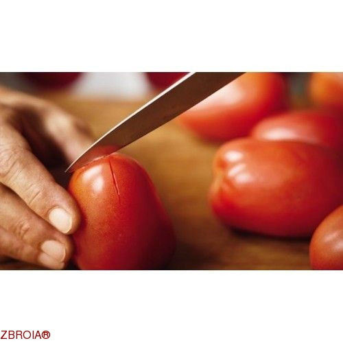 Нож кухонный Victorinox 5.0403 фото 2