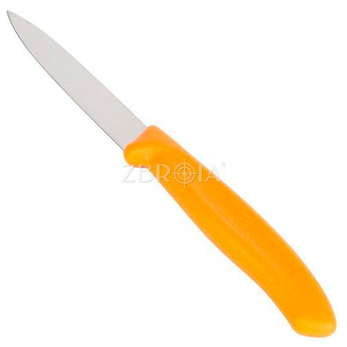 Нож VICTORINOX Swiss Classic 6.7606.L119 фото