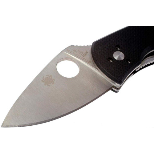Ніж Spyderco Ambitious (C148GP) фото 3