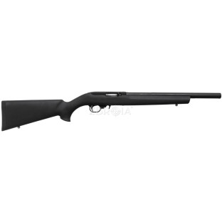 Карабін Ruger 10/22-VLEH кал. 22 LR фото