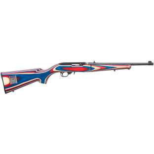 Карабін Ruger 10/22 Takedown USA Shooting Team 2020 кал. 22 LR фото