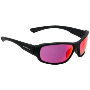 Очки Swiss Eye Freeride (черный) фото