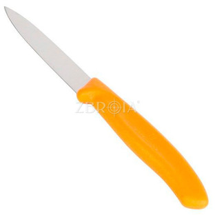 Нож VICTORINOX Swiss Classic 6.7606.L119 фото